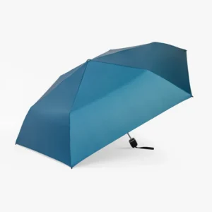 Small Umbrella 1349A Royal