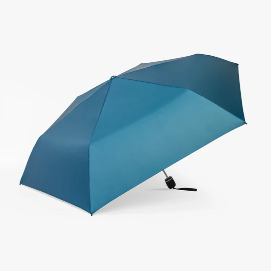 Small Umbrella 1349A Royal